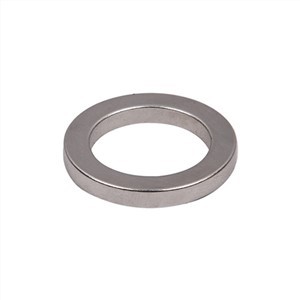 Sintered NdFeB रिंग मैग्नेट